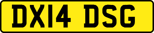 DX14DSG