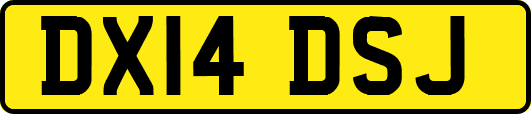 DX14DSJ