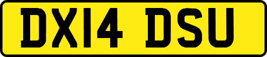 DX14DSU