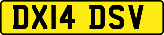 DX14DSV