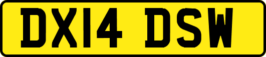 DX14DSW