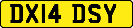 DX14DSY