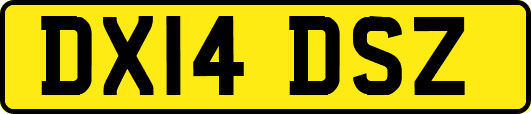 DX14DSZ