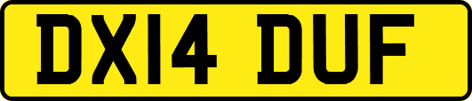 DX14DUF