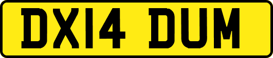 DX14DUM