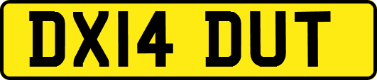 DX14DUT