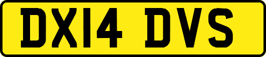 DX14DVS