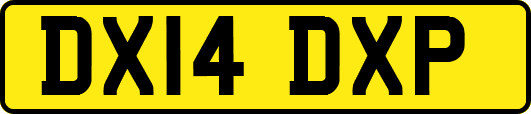 DX14DXP