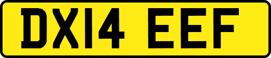 DX14EEF