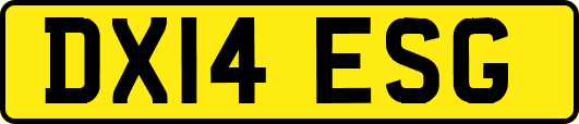 DX14ESG