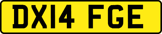 DX14FGE