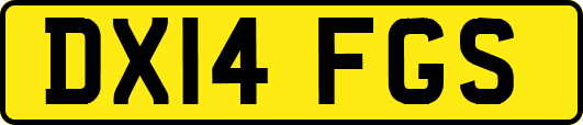 DX14FGS