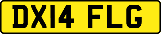 DX14FLG