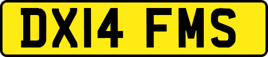 DX14FMS