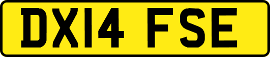 DX14FSE