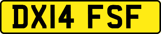 DX14FSF