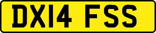 DX14FSS