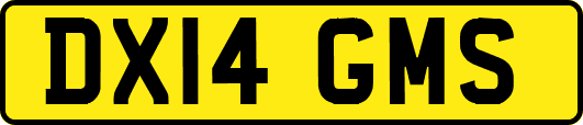 DX14GMS