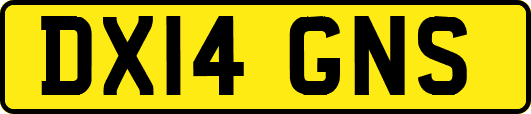 DX14GNS