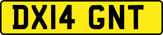 DX14GNT