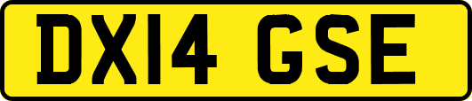DX14GSE