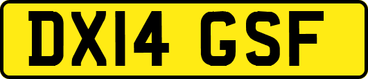 DX14GSF