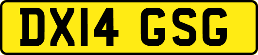 DX14GSG