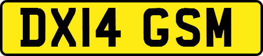 DX14GSM