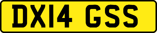 DX14GSS