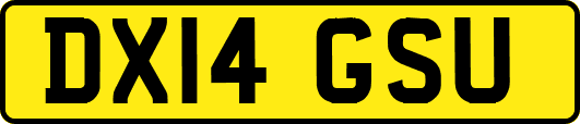 DX14GSU
