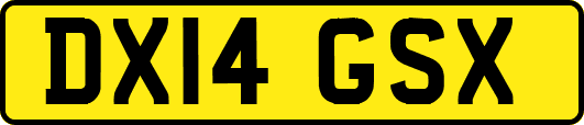 DX14GSX