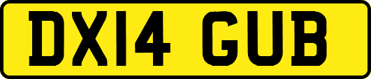 DX14GUB