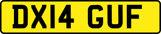 DX14GUF