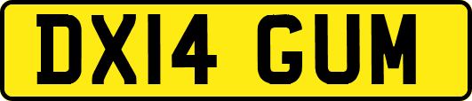 DX14GUM