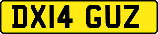 DX14GUZ