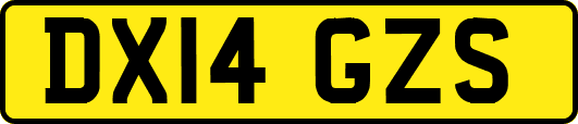 DX14GZS