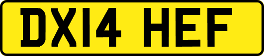 DX14HEF