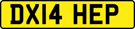 DX14HEP