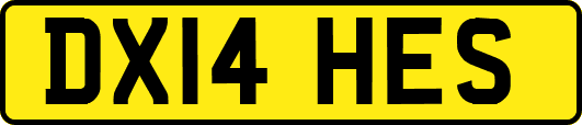 DX14HES