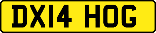 DX14HOG