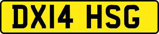 DX14HSG