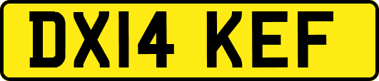 DX14KEF