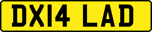 DX14LAD