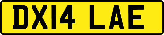 DX14LAE