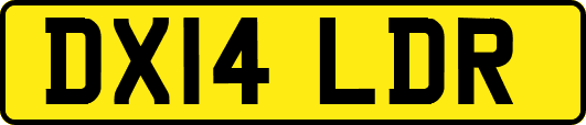 DX14LDR