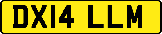 DX14LLM