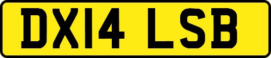 DX14LSB