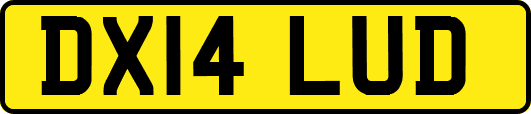DX14LUD