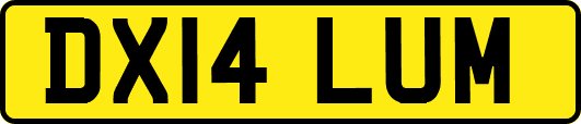 DX14LUM