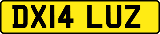 DX14LUZ